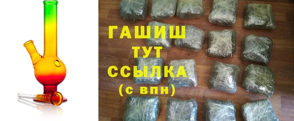 ГАЛЛЮЦИНОГЕННЫЕ ГРИБЫ Богданович