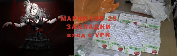 ГАЛЛЮЦИНОГЕННЫЕ ГРИБЫ Богданович