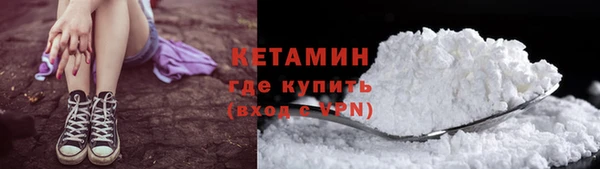 ГАЛЛЮЦИНОГЕННЫЕ ГРИБЫ Богданович