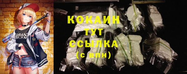 эйфоретик Белокуриха