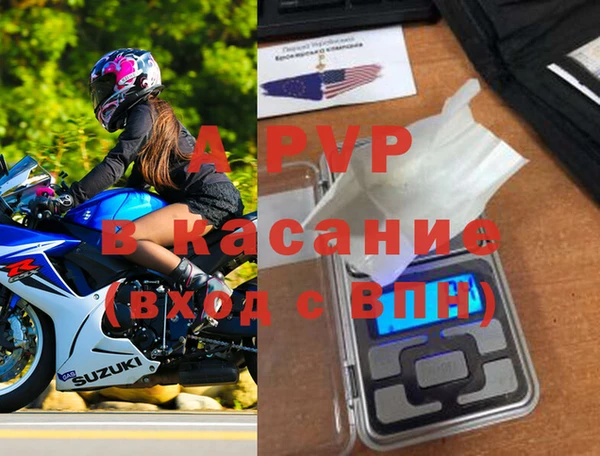 эйфоретик Белокуриха